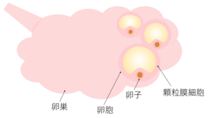 スクリーンショット 2019-04-11 16.56.46.png